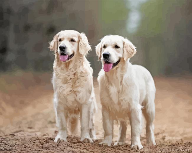 Aesthetic Cream Retrievers Painting By Numbers Kits