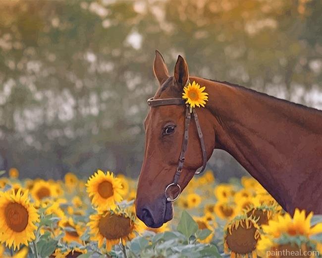 Brown Horse In Sunflower Field Painting By Numbers Kits