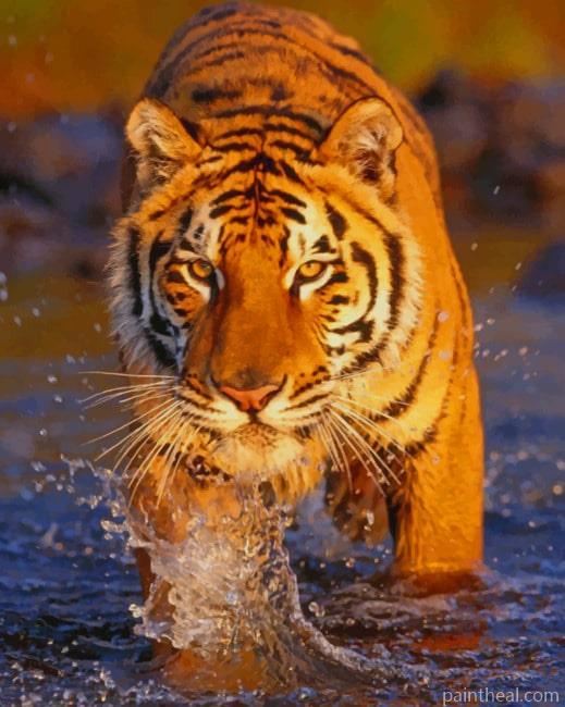 Bengal Tiger In The River Painting By Numbers Kits