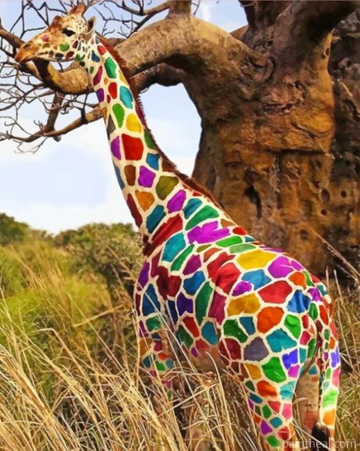Rainbow Giraffe Painting By Numbers Kits