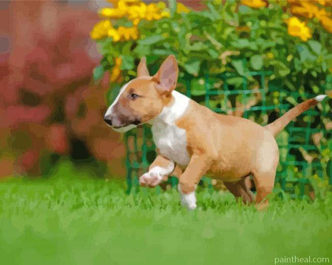 English Bull Terrier Puppy Painting By Numbers Kits