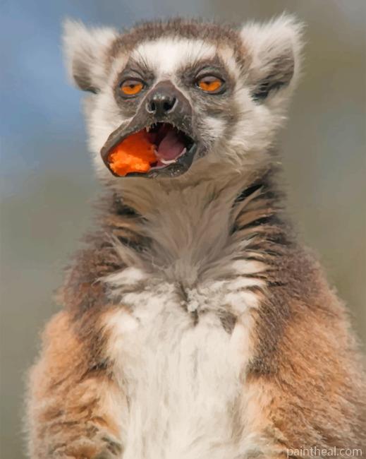 Lemur Eating Painting By Numbers Kits