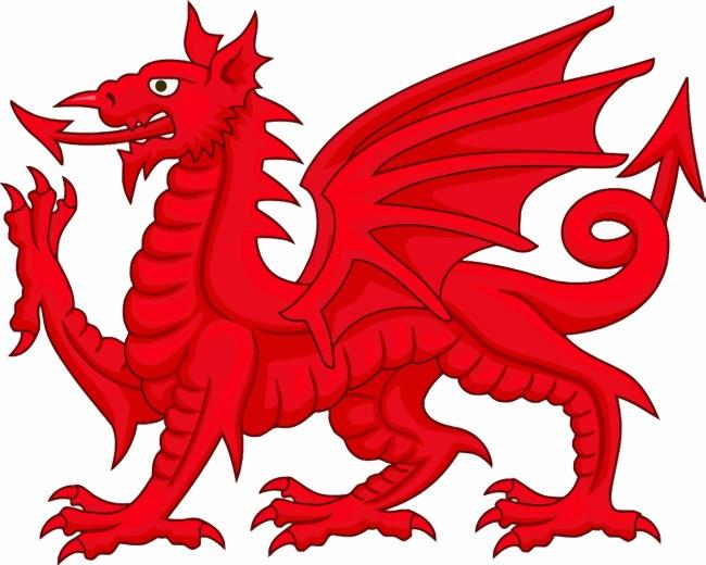 Welsh Dragon Illustration Painting By Numbers Kits
