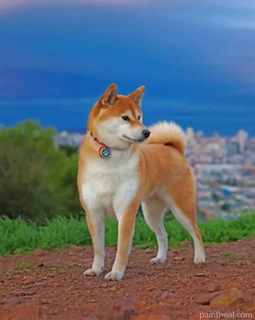 Japanese Akita Dog Painting By Numbers Kits