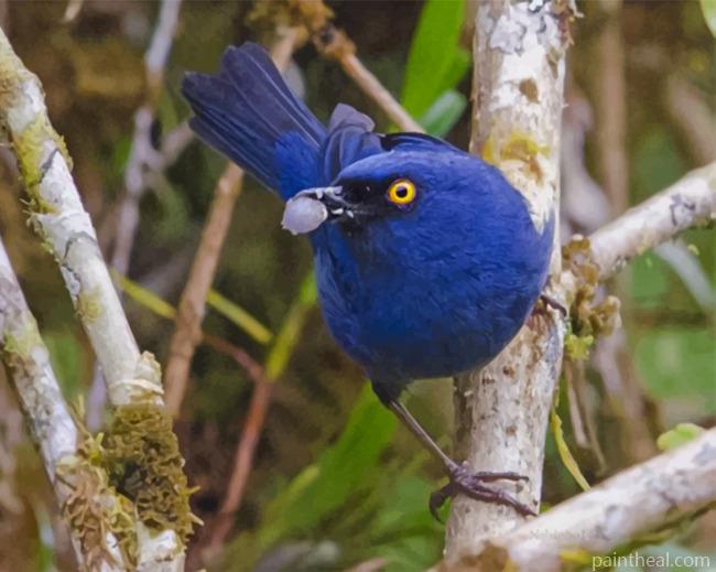 Aesthetic Deep Blue Bird Painting By Numbers Kits