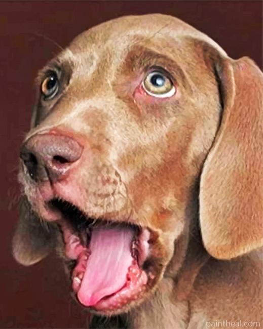 Funny Weimaraner Painting By Numbers Kits