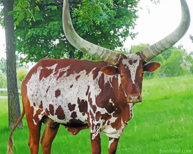 African Cattle Painting By Numbers Kits