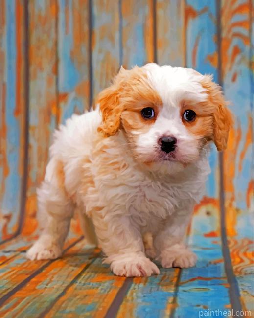 White Cavapoo Painting By Numbers Kits