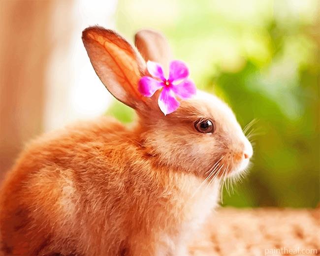 Rabbit With Flower Painting By Numbers Kits