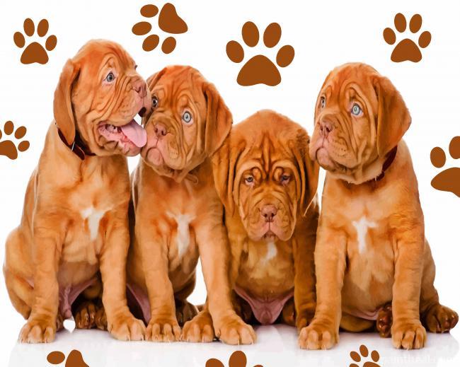 Dogue de Bordeaux Pets Painting By Numbers Kits