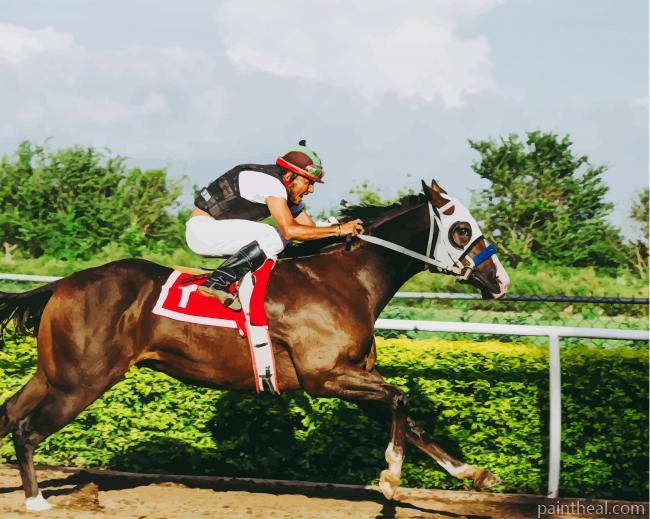 Horse Racing Sport Painting By Numbers Kits