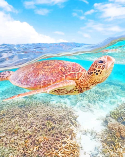 Turtle Under The Sea Painting By Numbers Kits