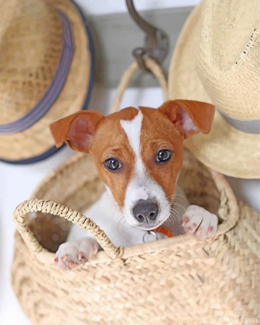 Cute Jack Russells Painting By Numbers Kits
