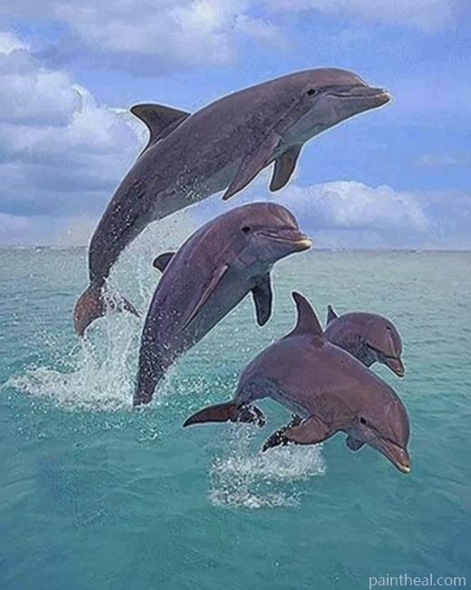Dolphins Jumping Painting By Numbers Kits