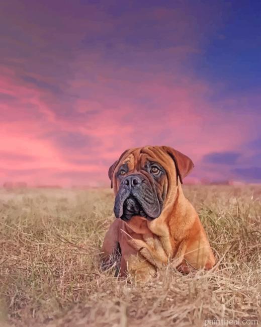 Aesthetic Bullmastiff Painting By Numbers Kits