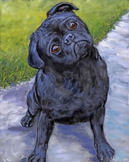 Black Pug Puppy Painting By Numbers Kits