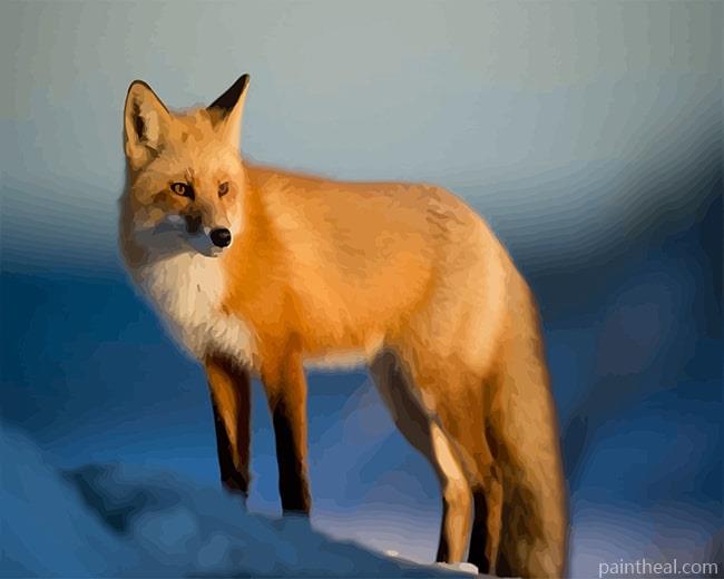 Fox In Snow Painting By Numbers Kits