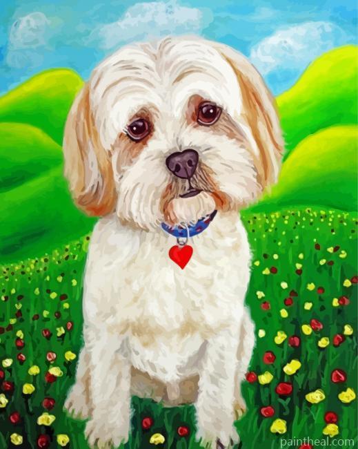 Lhasa Apso Puppy Painting By Numbers Kits