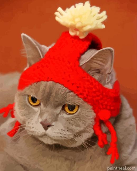 Cat In Red Hat Painting By Numbers Kits