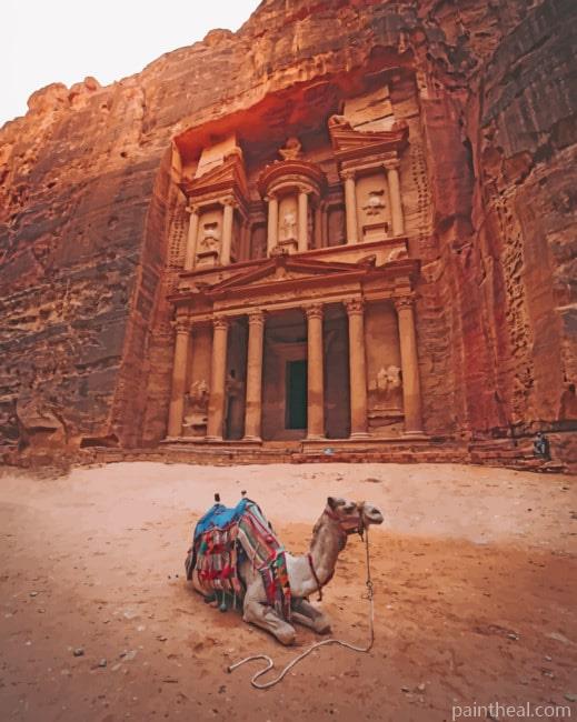 Camel Near The Petra Painting By Numbers Kits