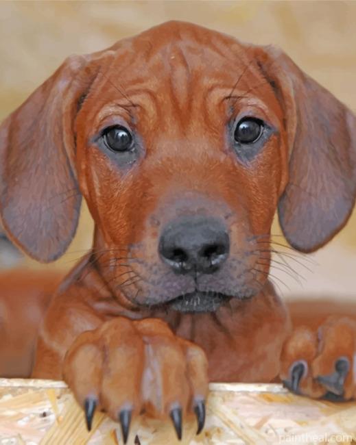 Brown Rhodesian Ridgeback Painting By Numbers Kits