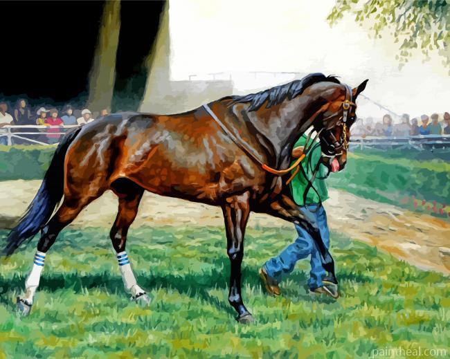 Zenyatta Racehorse Painting By Numbers Kits