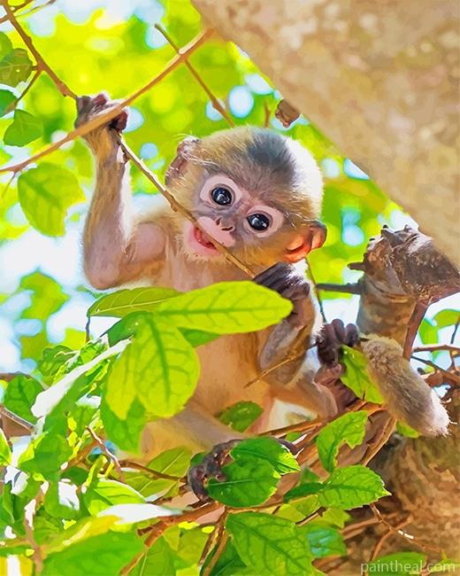 Cute Baby Monkey Painting By Numbers Kits