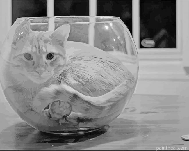 Monochrome Cat In A Fish Bowl Painting By Numbers Kits