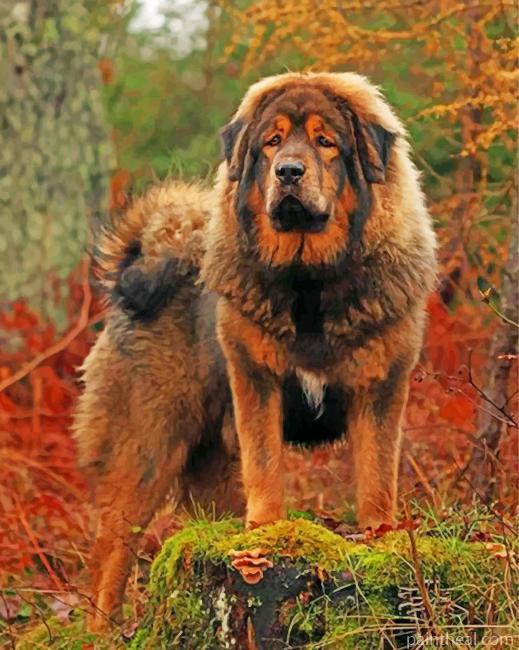 Mastiff Dog Painting By Numbers Kits