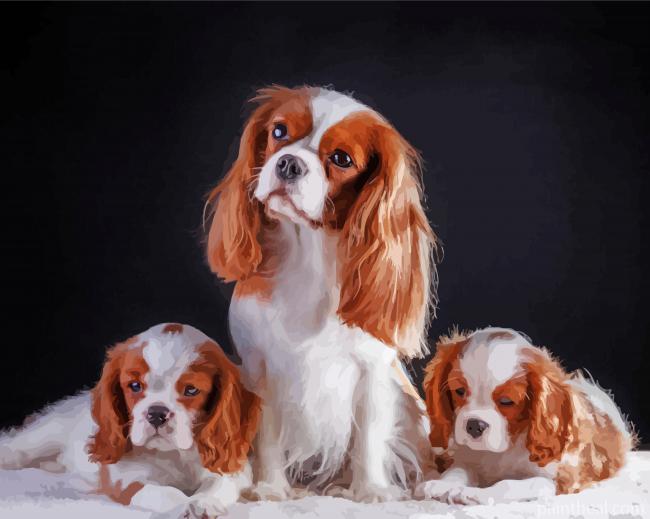Trio King Charles Painting By Numbers Kits