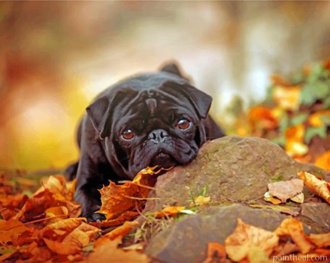 Black Pug And Leaves Painting By Numbers Kits