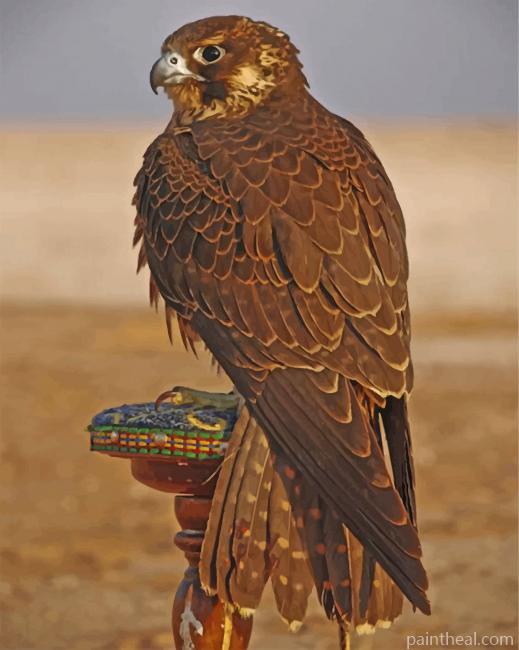 Eagle Desert Bird Painting By Numbers Kits