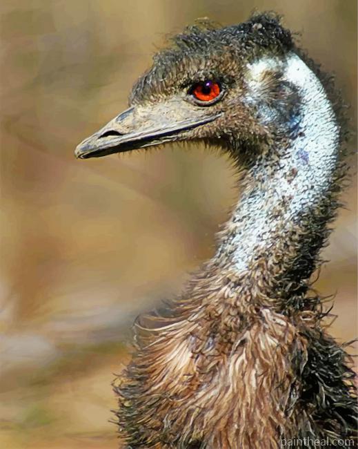 Emu Portrait Painting By Numbers Kits