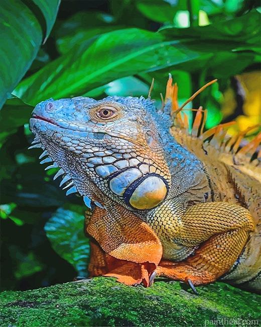 Big Iguana Painting By Numbers Kits