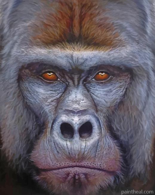 Silverback Gorilla Face Painting By Numbers Kits