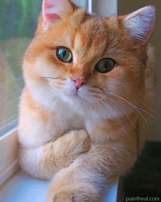 Cute Cat With Green Eyes Painting By Numbers Kits