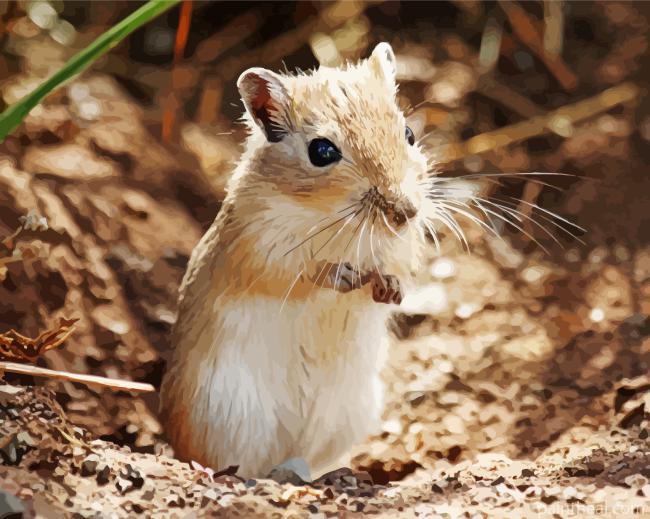 Gerbil Diamond Painting Painting By Numbers Kits