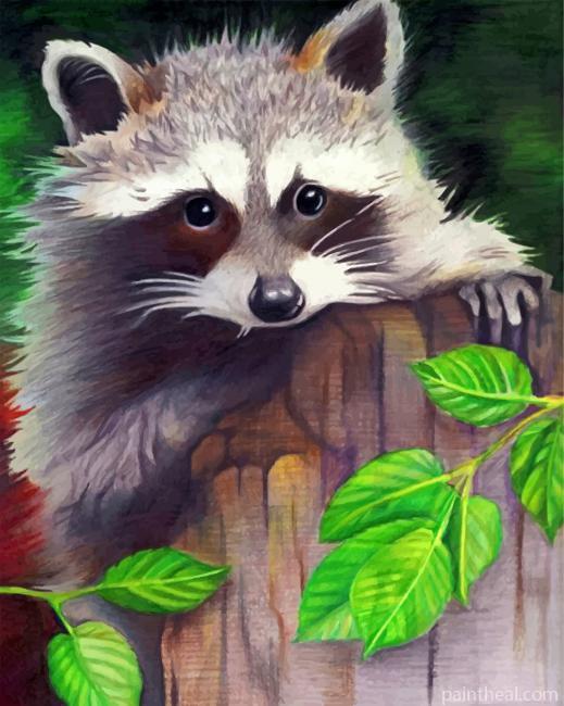 Cute Raccoon Painting By Numbers Kits