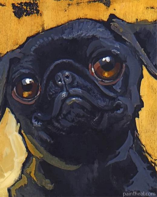 Aesthetic Black Pug Painting By Numbers Kits