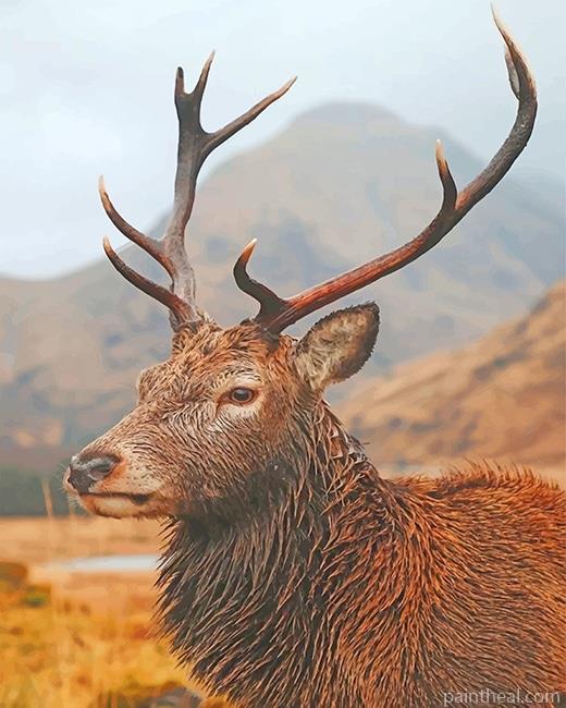 Wild Life Deer Painting By Numbers Kits
