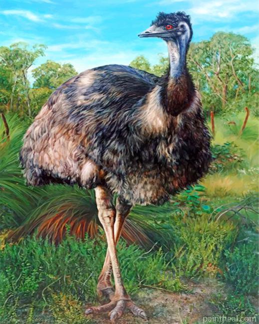 Aesthetic Emu Painting By Numbers Kits