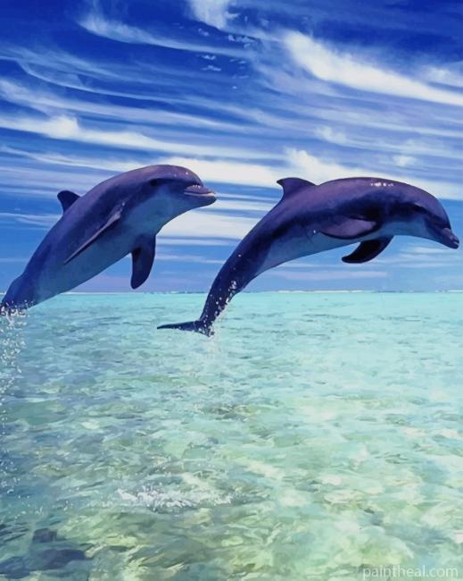 Dolphin Couple Painting By Numbers Kits
