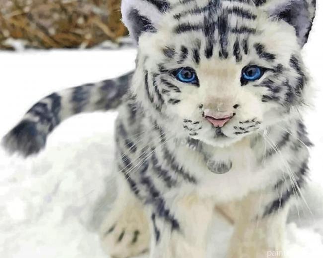 White Baby Tiger Painting By Numbers Kits