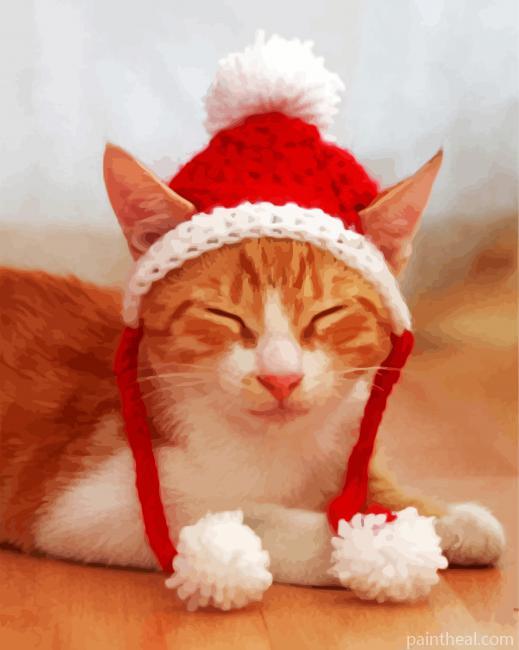 Santa Cat Hat Painting By Numbers Kits