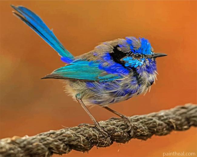 Aesthetic Blue Wren Painting By Numbers Kits
