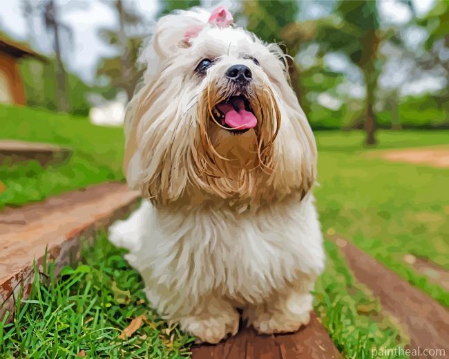 Lhasa Apso Dog Painting By Numbers Kits