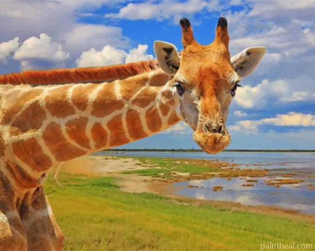 Curious Giraffe Painting By Numbers Kits