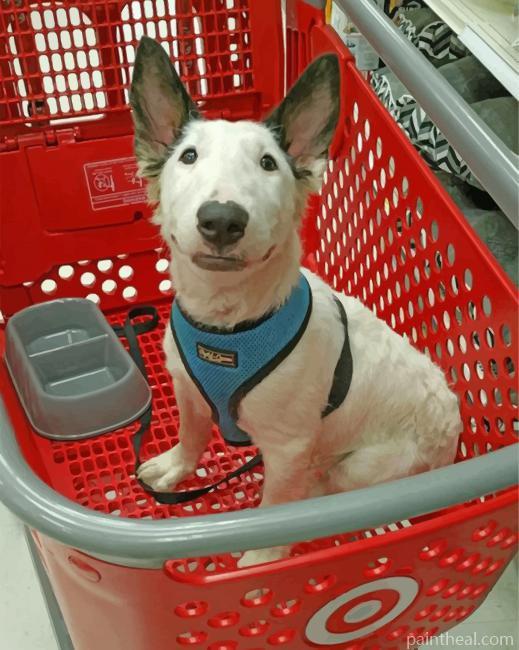 White Bull Terrier Painting By Numbers Kits