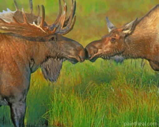 Moose In The River Painting By Numbers Kits