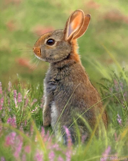 Rabbit In The Garden Painting By Numbers Kits